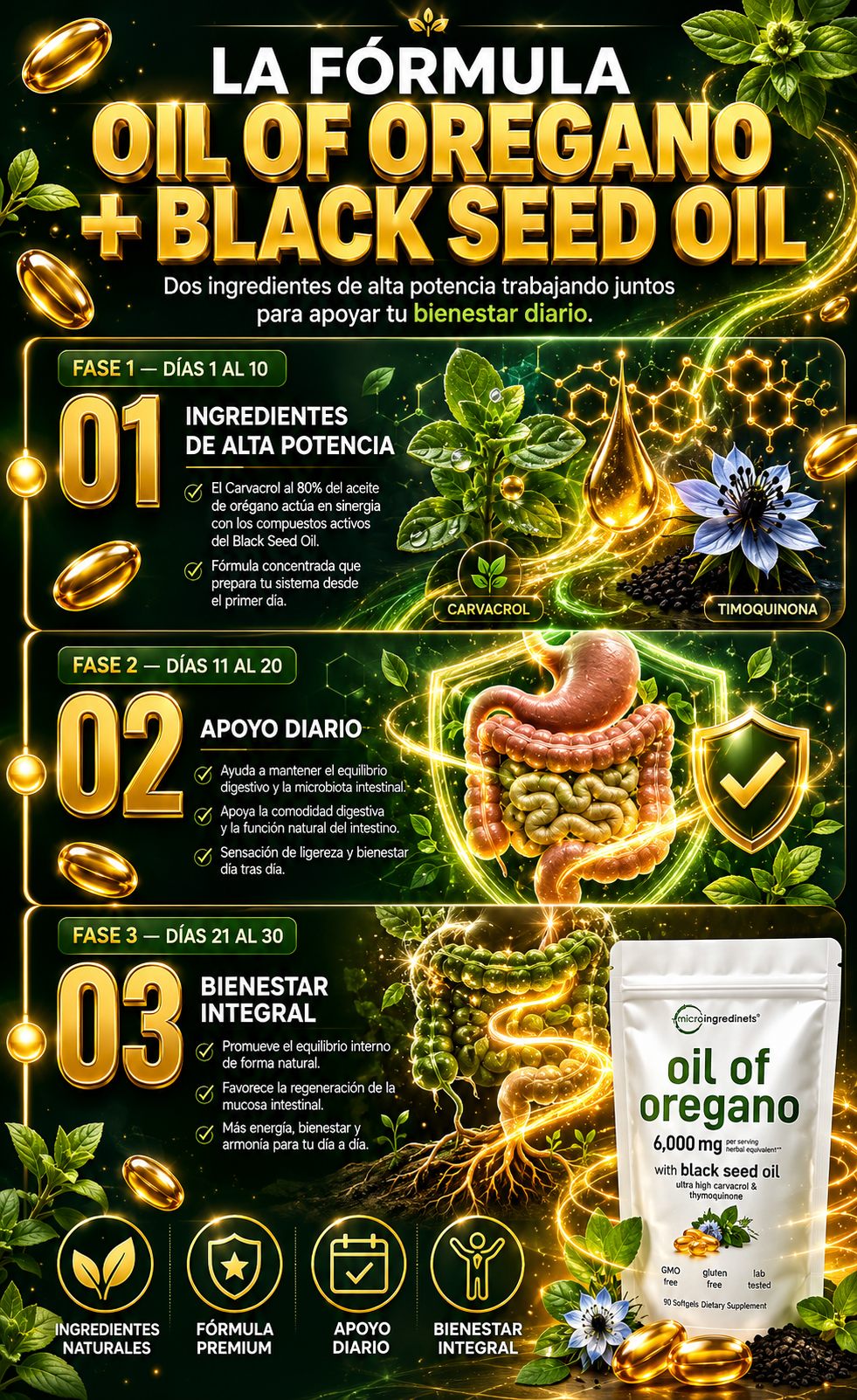 ACEITE DE OREGANO PLANTILLA